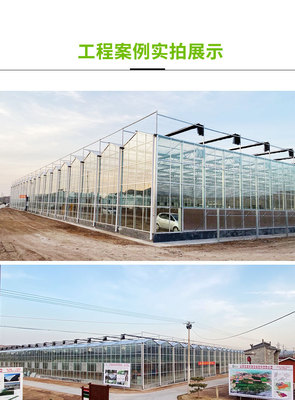玻璃连栋温室大棚-玻璃大棚-寿光瑞科温室定制-蔬菜棚