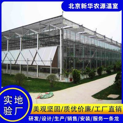 承建智能玻璃温室 连栋智能温室 新华农源温室